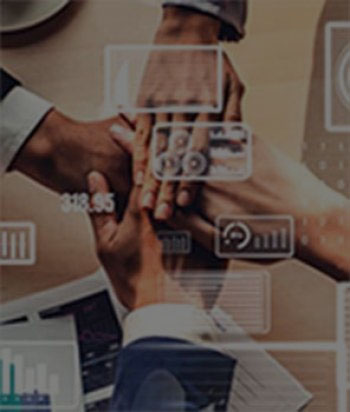 Government Field Services